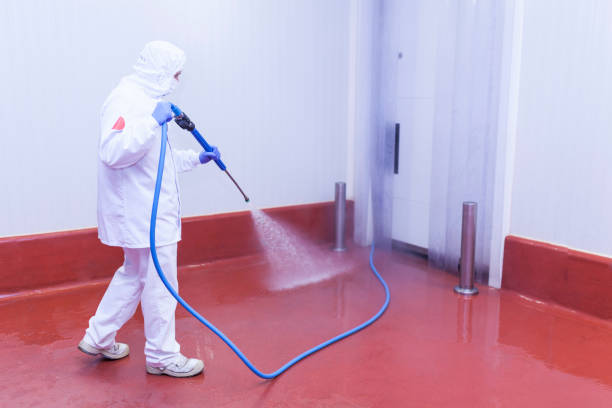 Best Warehouse Cleaning  in San Antonio Heights, CA